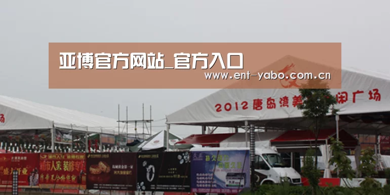 案例标题十