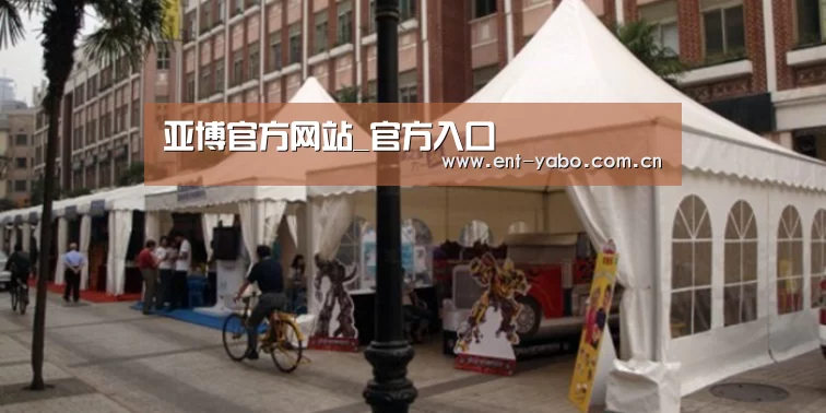 案例标题九