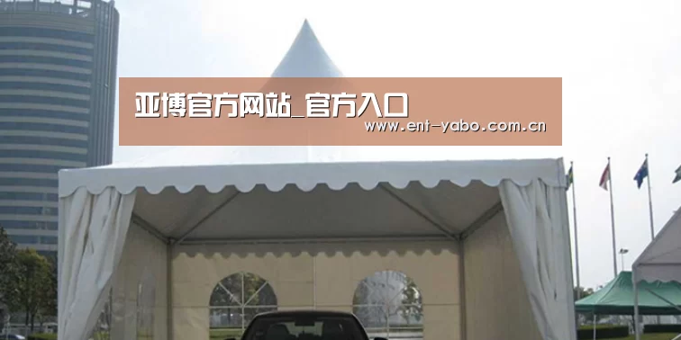 案例标题八