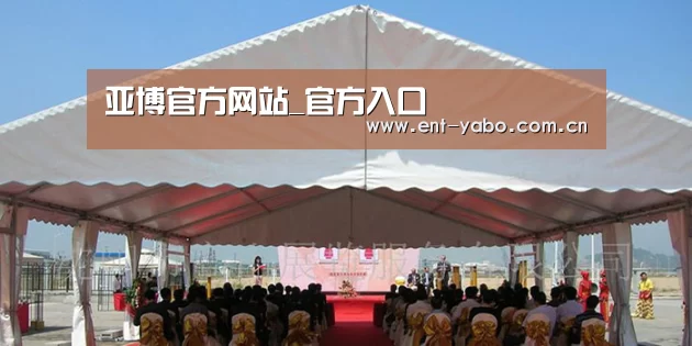 案例标题三