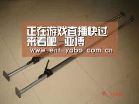 亚博