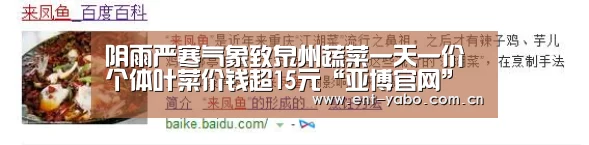 阴雨严寒气象致泉州蔬菜一天一价 个体叶菜价钱超15元“亚博官网”