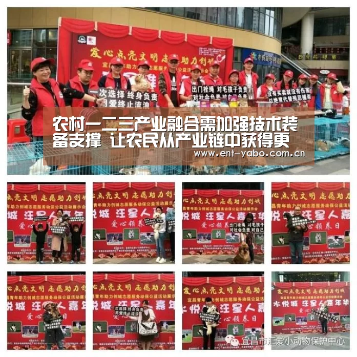 农村一二三产业融合需加强技术装备支撑 让农民从产业链中获得更多利益|亚博平台