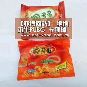 【亚博网站】
绝地求生PUBG 卡顿掉帧CPU满载解决措施